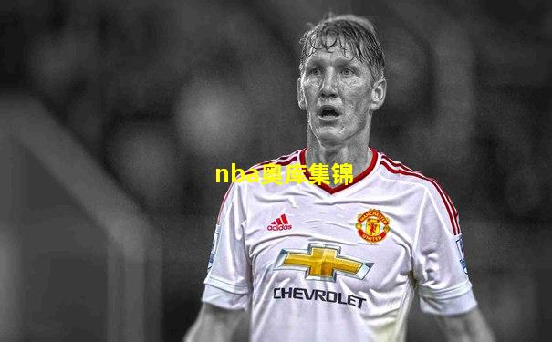 nba奥库集锦