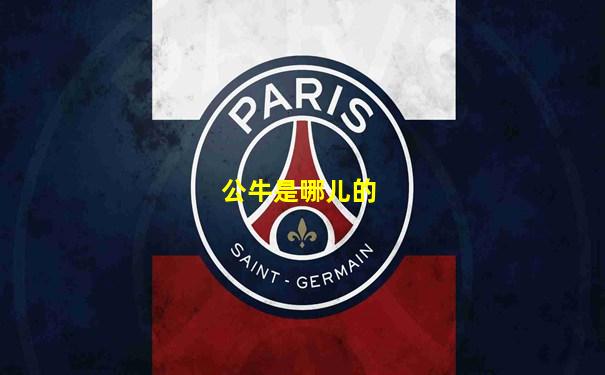公牛是哪儿的