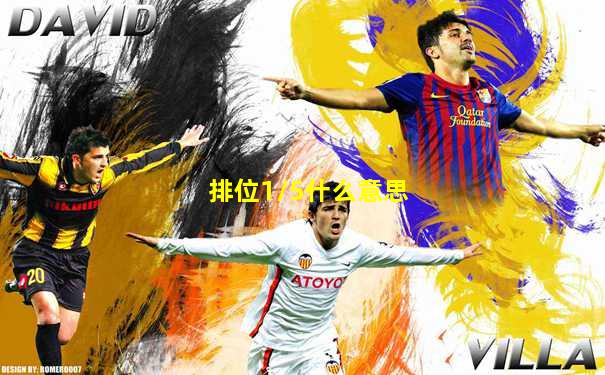 排位1/5什么意思
