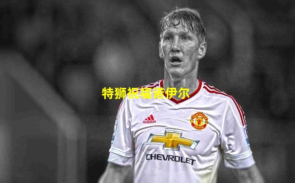 特狮祝福诺伊尔
