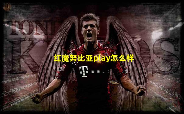 红魔努比亚play怎么样
