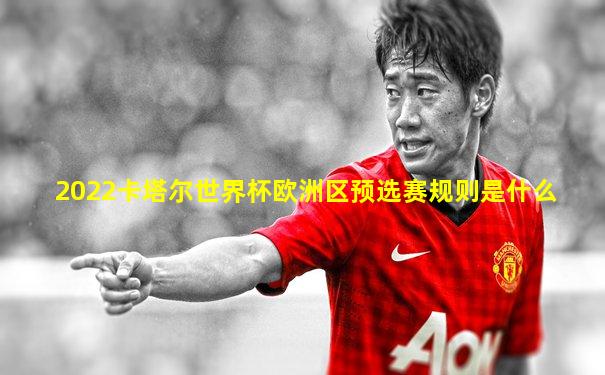 2022卡塔尔世界杯欧洲区预选赛规则是什么