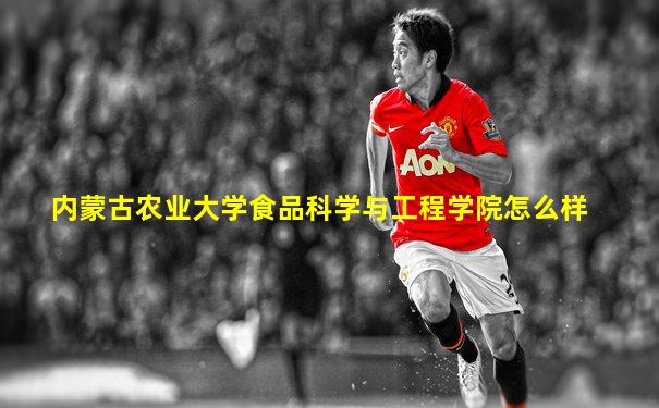 内蒙古农业大学食品科学与工程学院怎么样