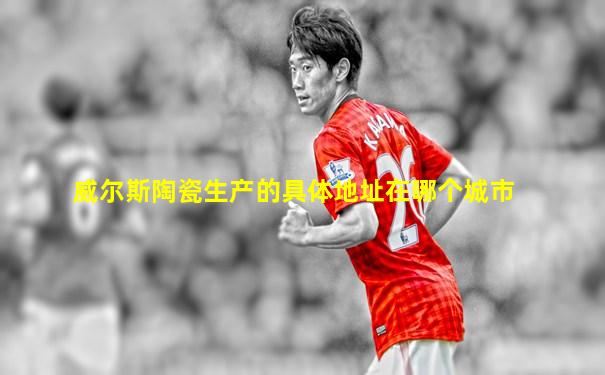 威尔斯陶瓷生产的具体地址在哪个城市