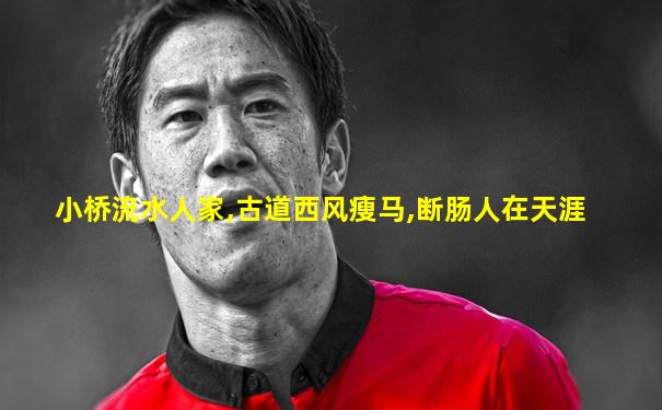 小桥流水人家,古道西风瘦马,断肠人在天涯