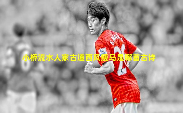 小桥流水人家古道西风瘦马是哪首古诗
