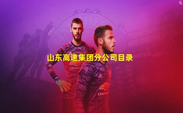 山东高速集团分公司目录