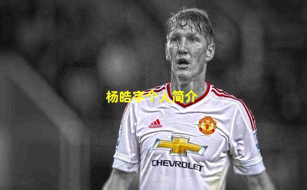 杨皓宇个人简介