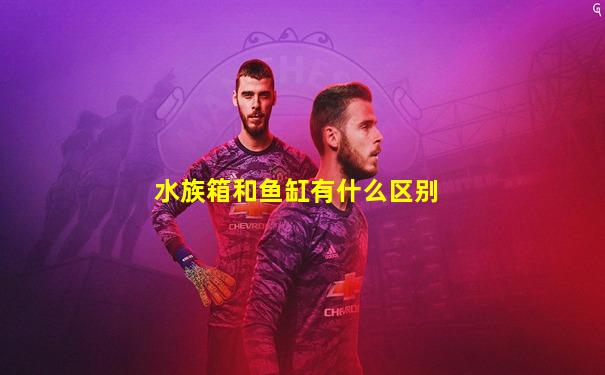 水族箱和鱼缸有什么区别