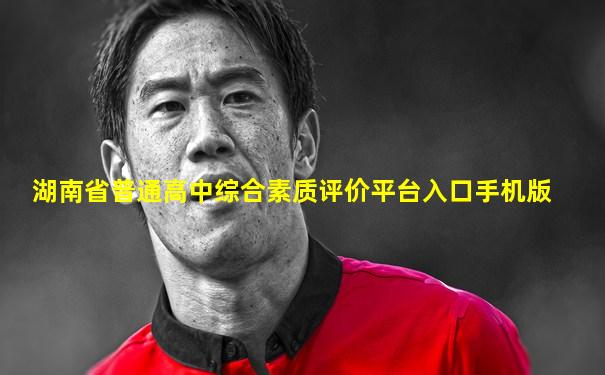 湖南省普通高中综合素质评价平台入口手机版
