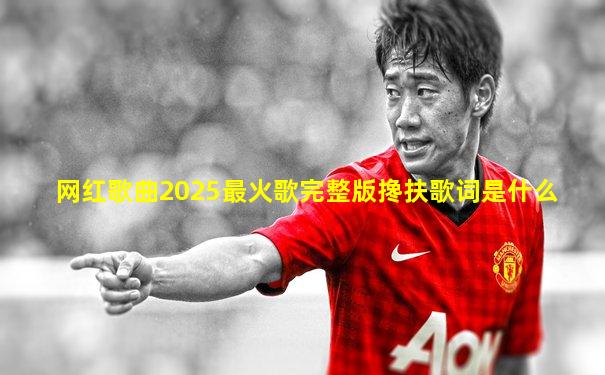 网红歌曲2025最火歌完整版搀扶歌词是什么
