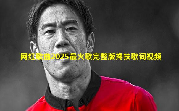 网红歌曲2025最火歌完整版搀扶歌词视频