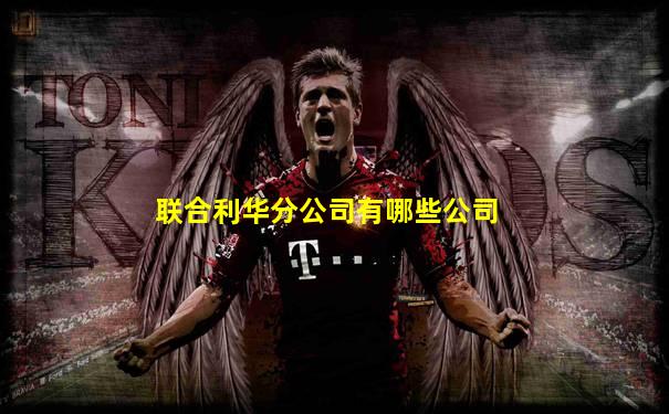 联合利华分公司有哪些公司