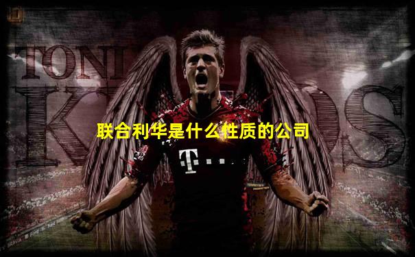 联合利华是什么性质的公司