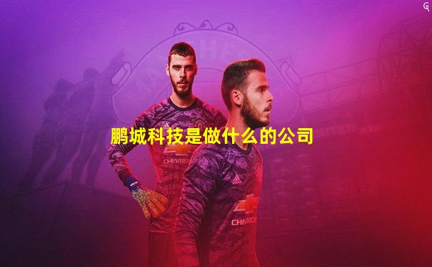 鹏城科技是做什么的公司
